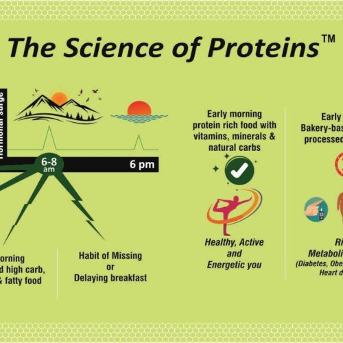 Best time for protein powder intake